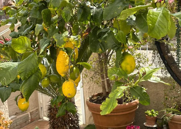 Da Nuccia Villasimius