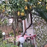 Da Nuccia 3*
